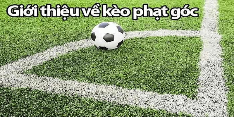 Định nghĩa về kèo số lượng phạt góc