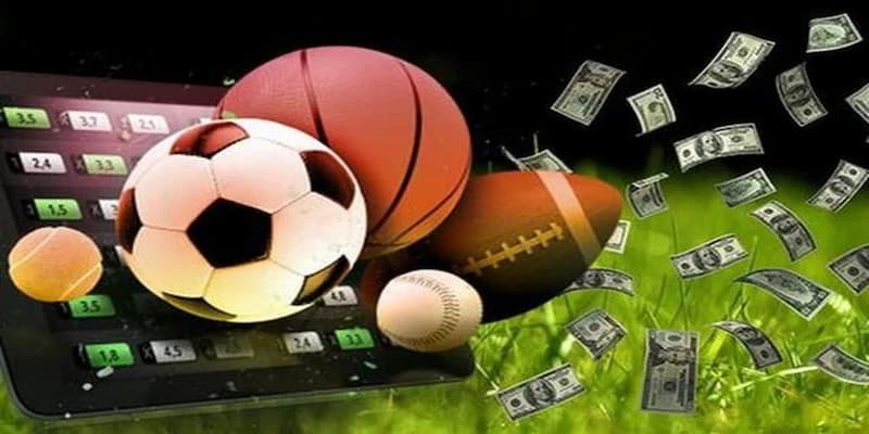 Giới thiệu hệ sinh thái dịch vụ mở rộng của trang cá độ bóng đá