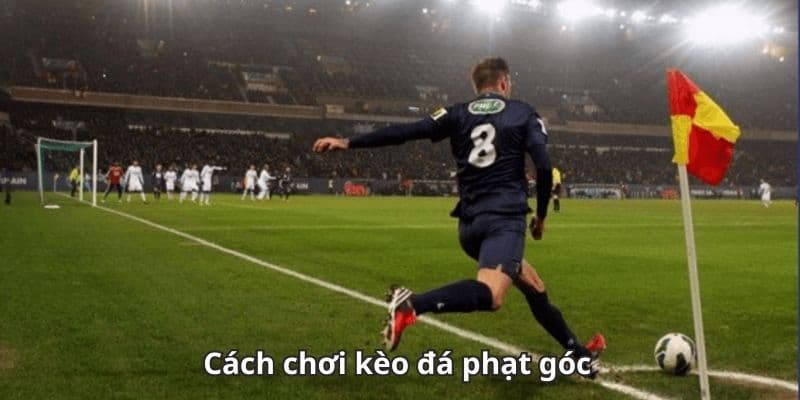 Mẹo đọc kèo số lượng phạt góc chính xác